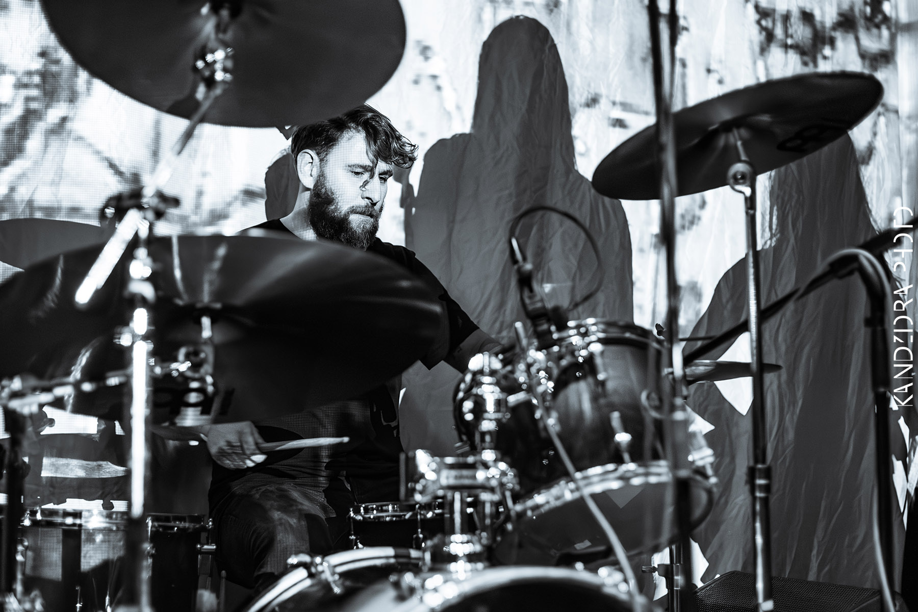 Blues Bumps Fest 2026 - Friday