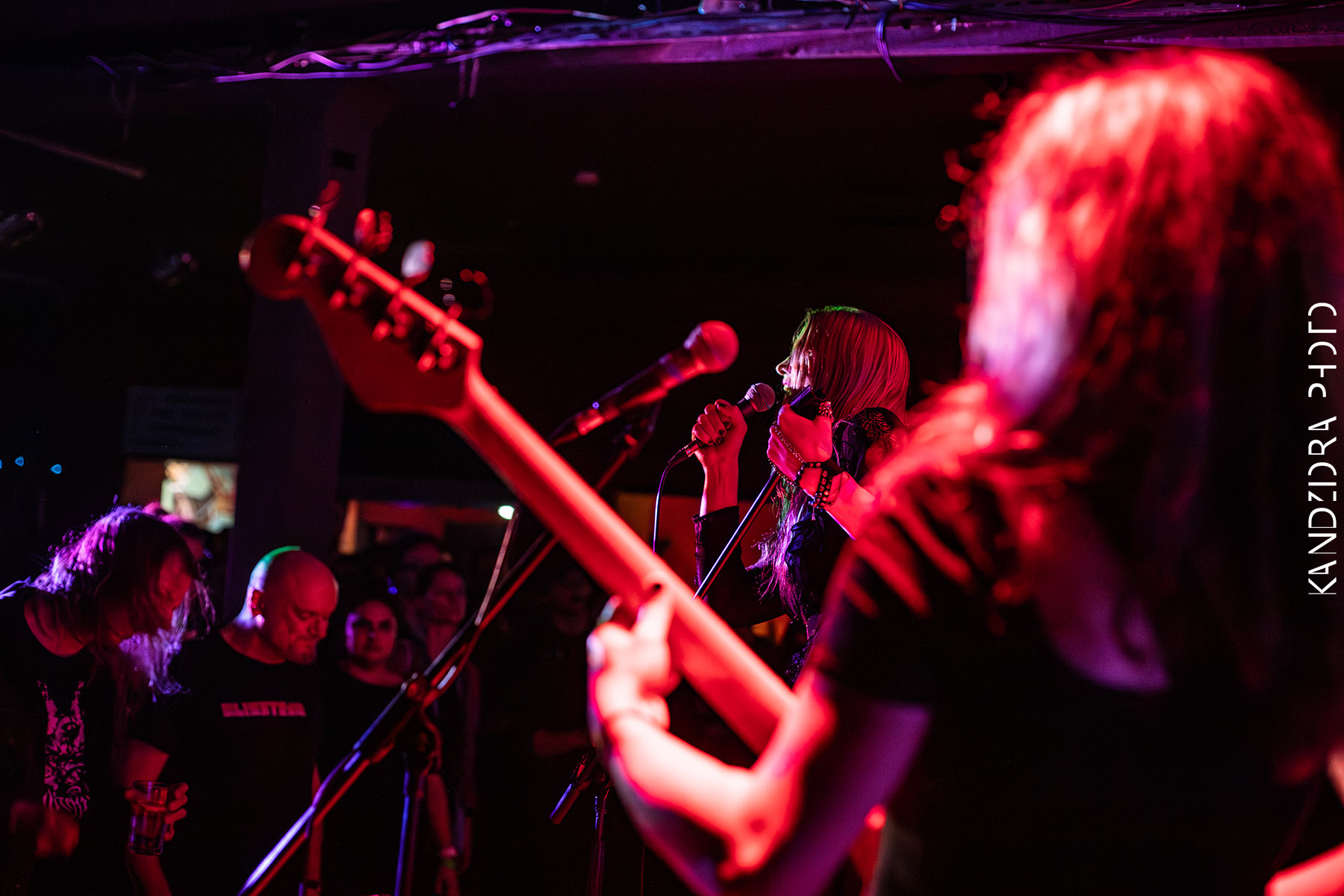 Blues Bumps Fest 2026 - Friday