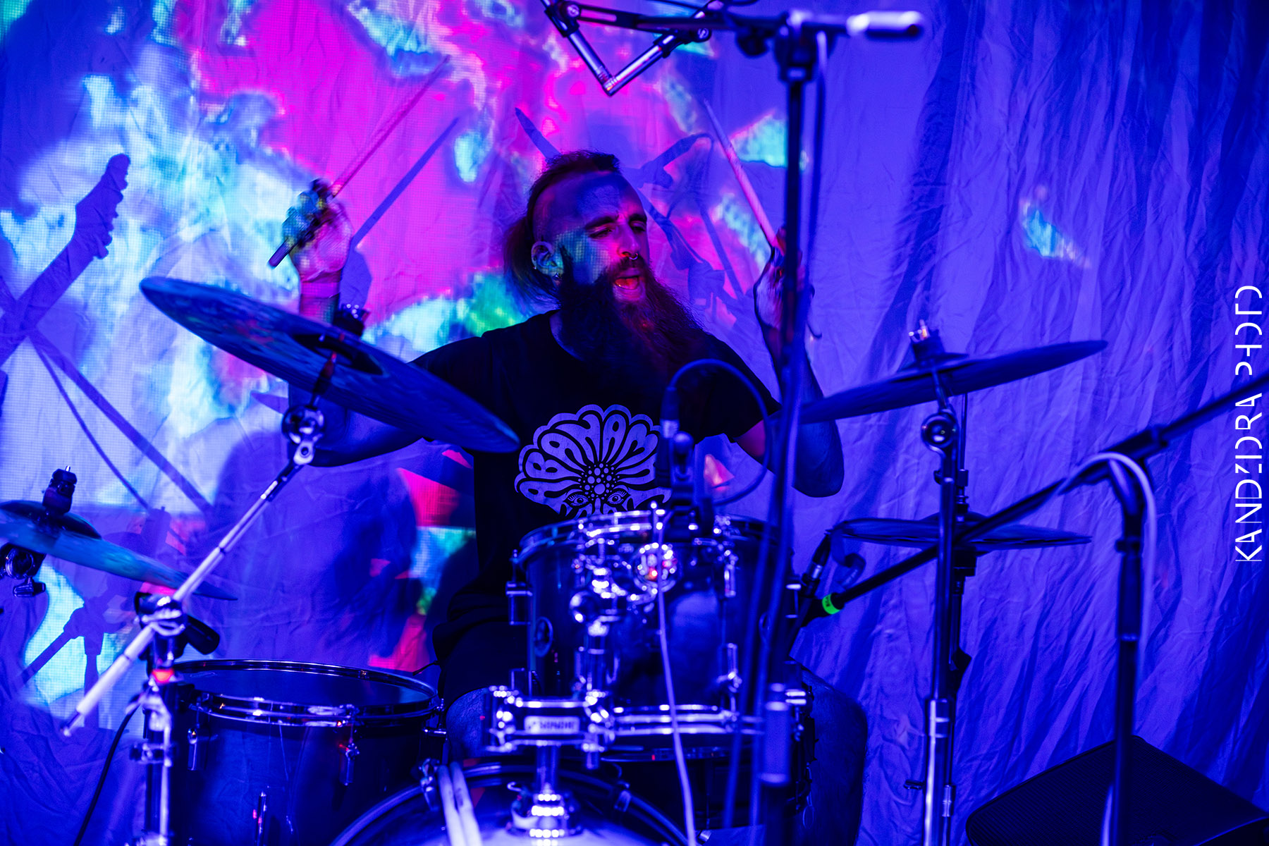 Blues Bumps Fest 2026 - Friday