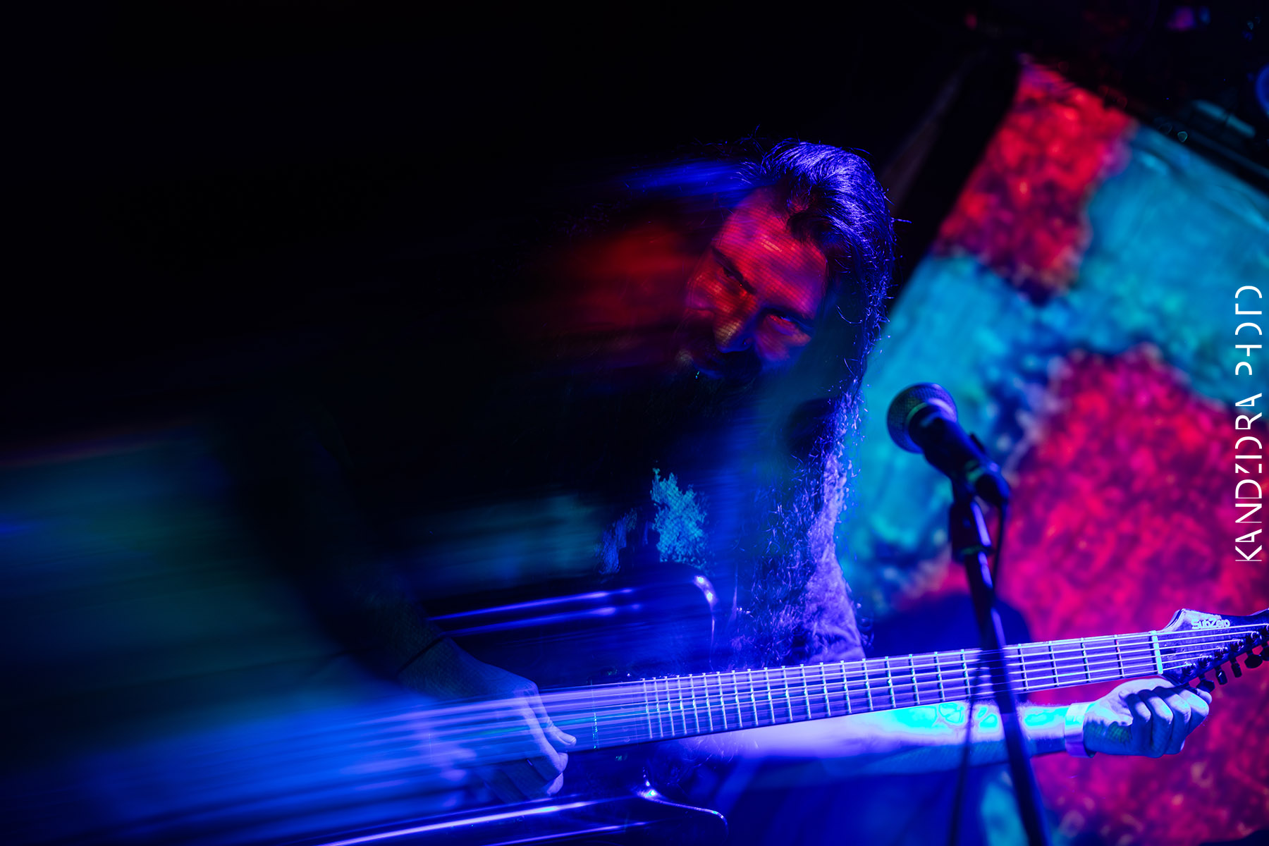 Blues Bumps Fest 2026 - Friday