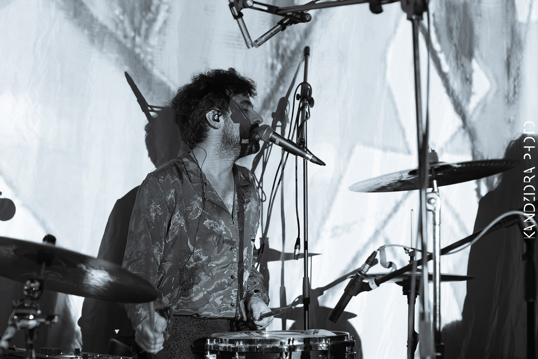 Blues Bumps Fest 2026 - Friday