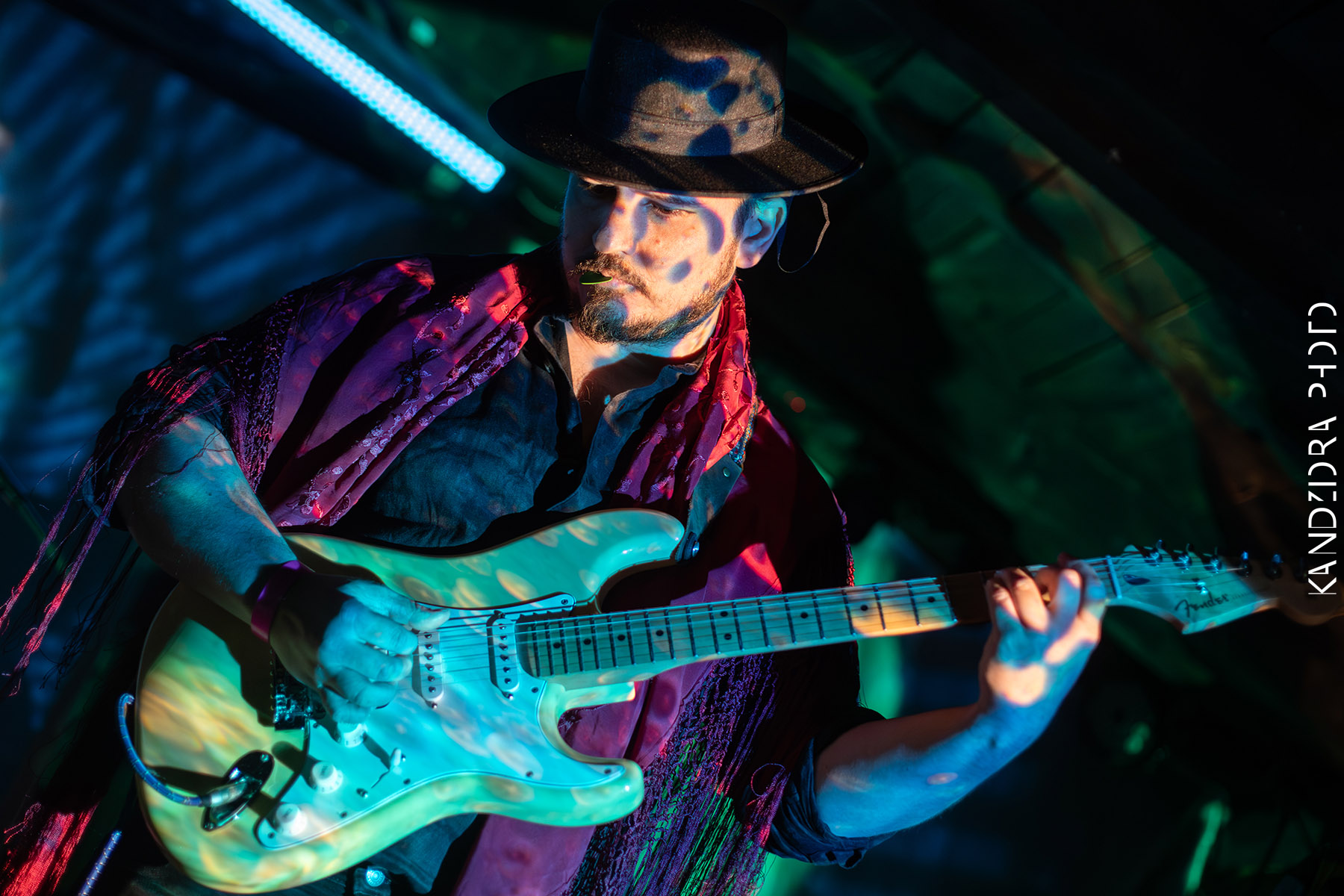 Blues Bumps Fest 2026 - Saturday