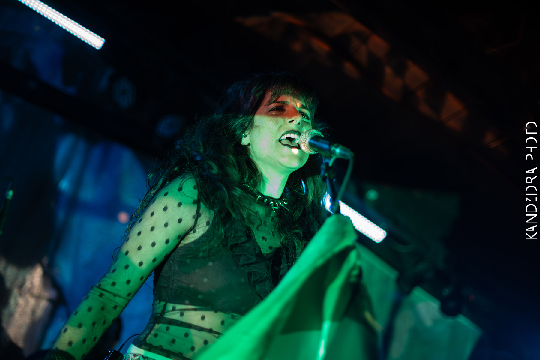 Blues Bumps Fest 2026 - Saturday