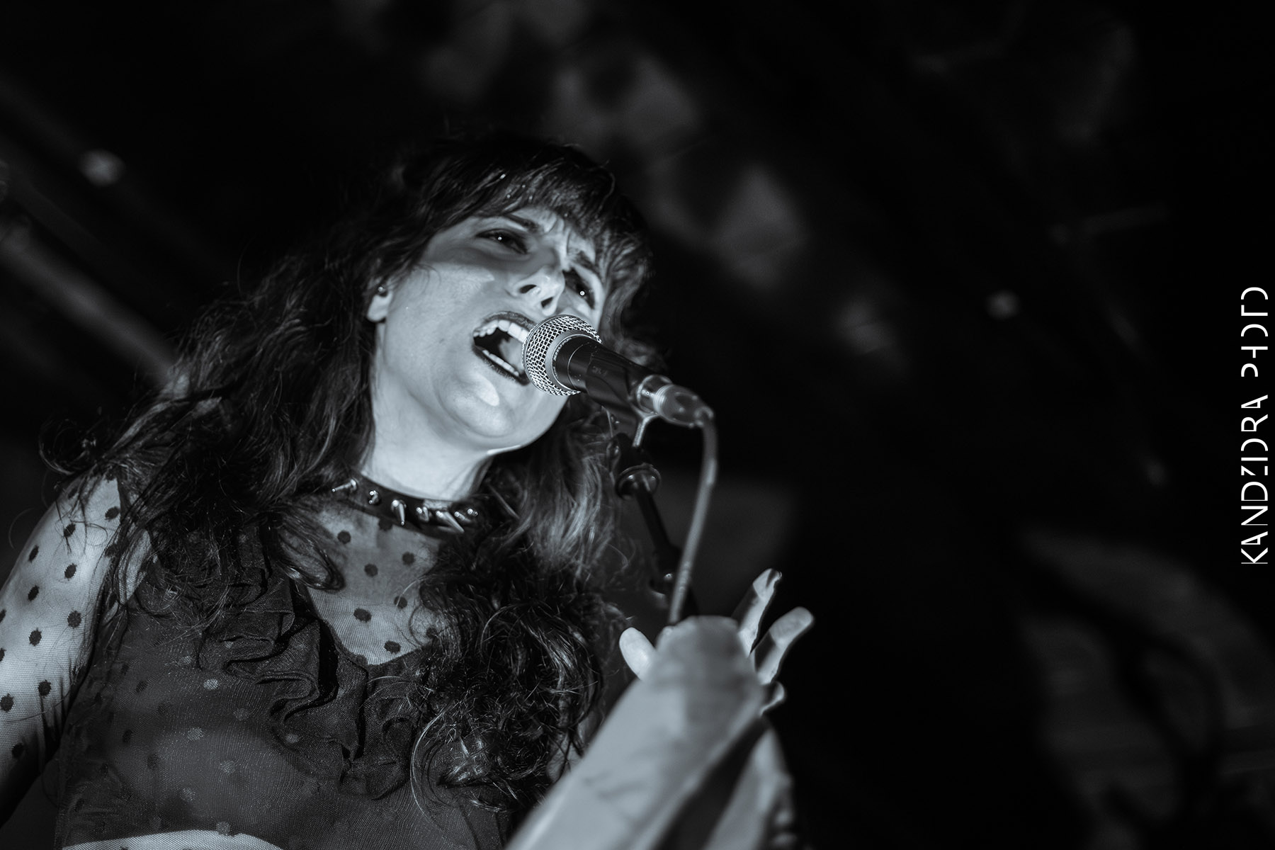 Blues Bumps Fest 2026 - Saturday