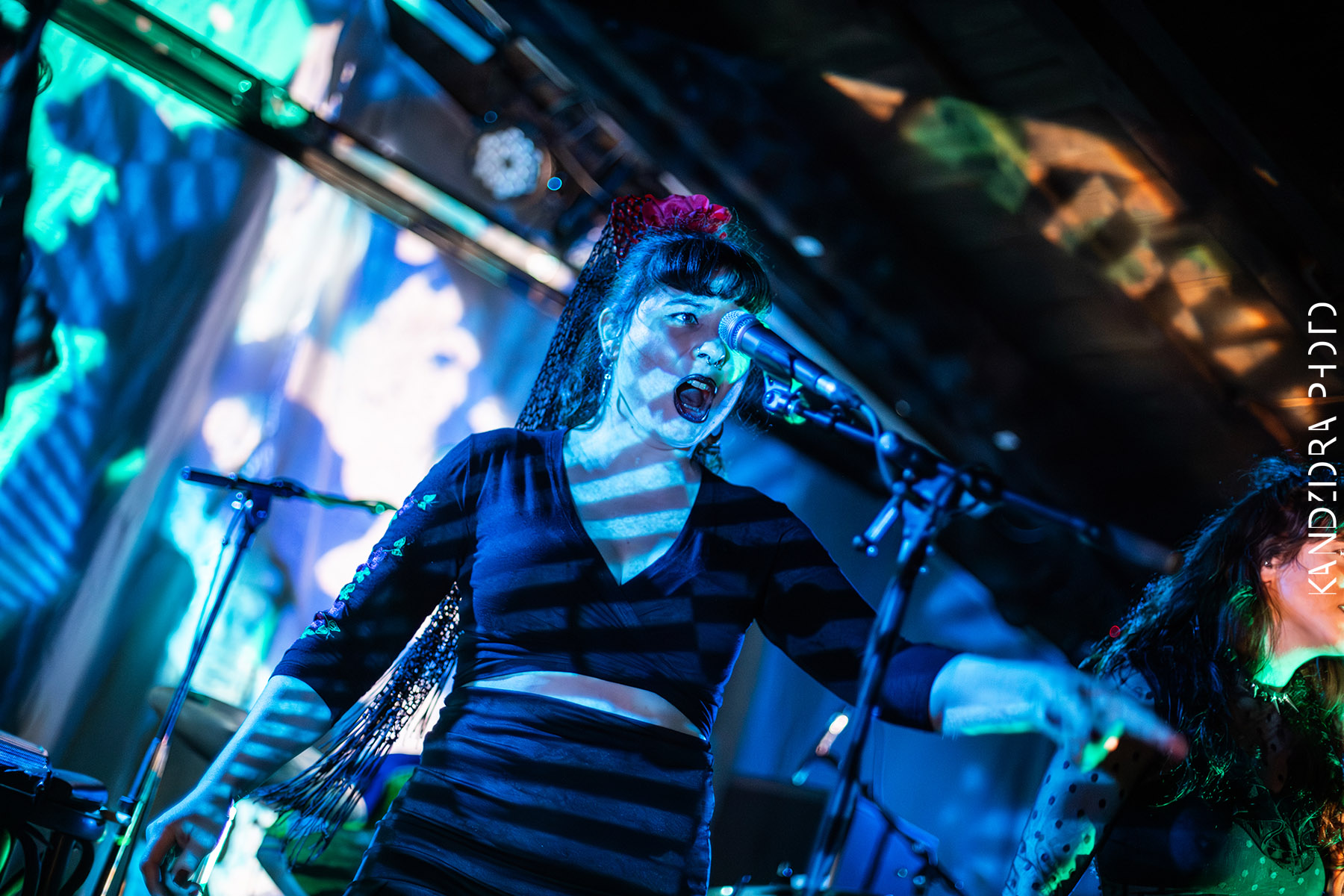 Blues Bumps Fest 2026 - Saturday