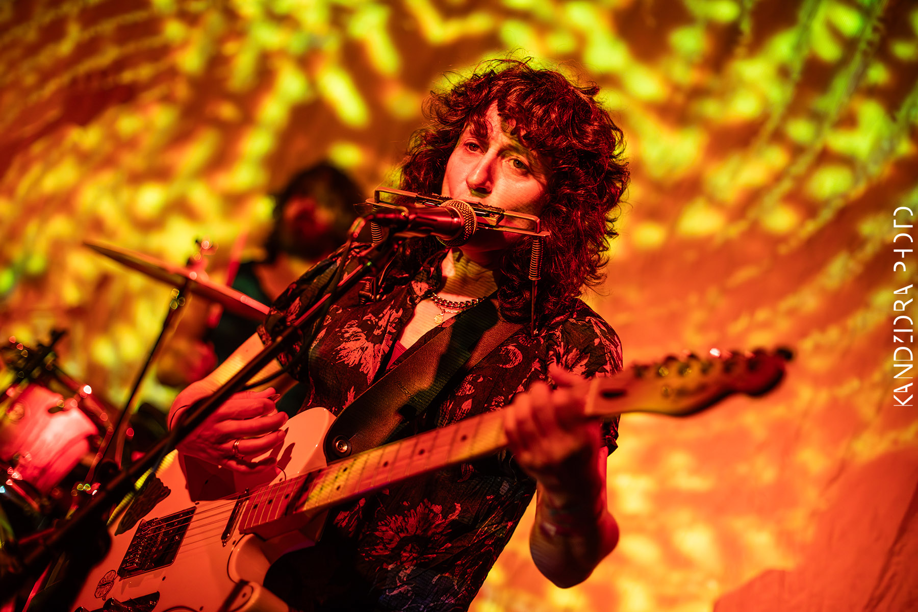 Blues Bumps Fest 2026 - Saturday