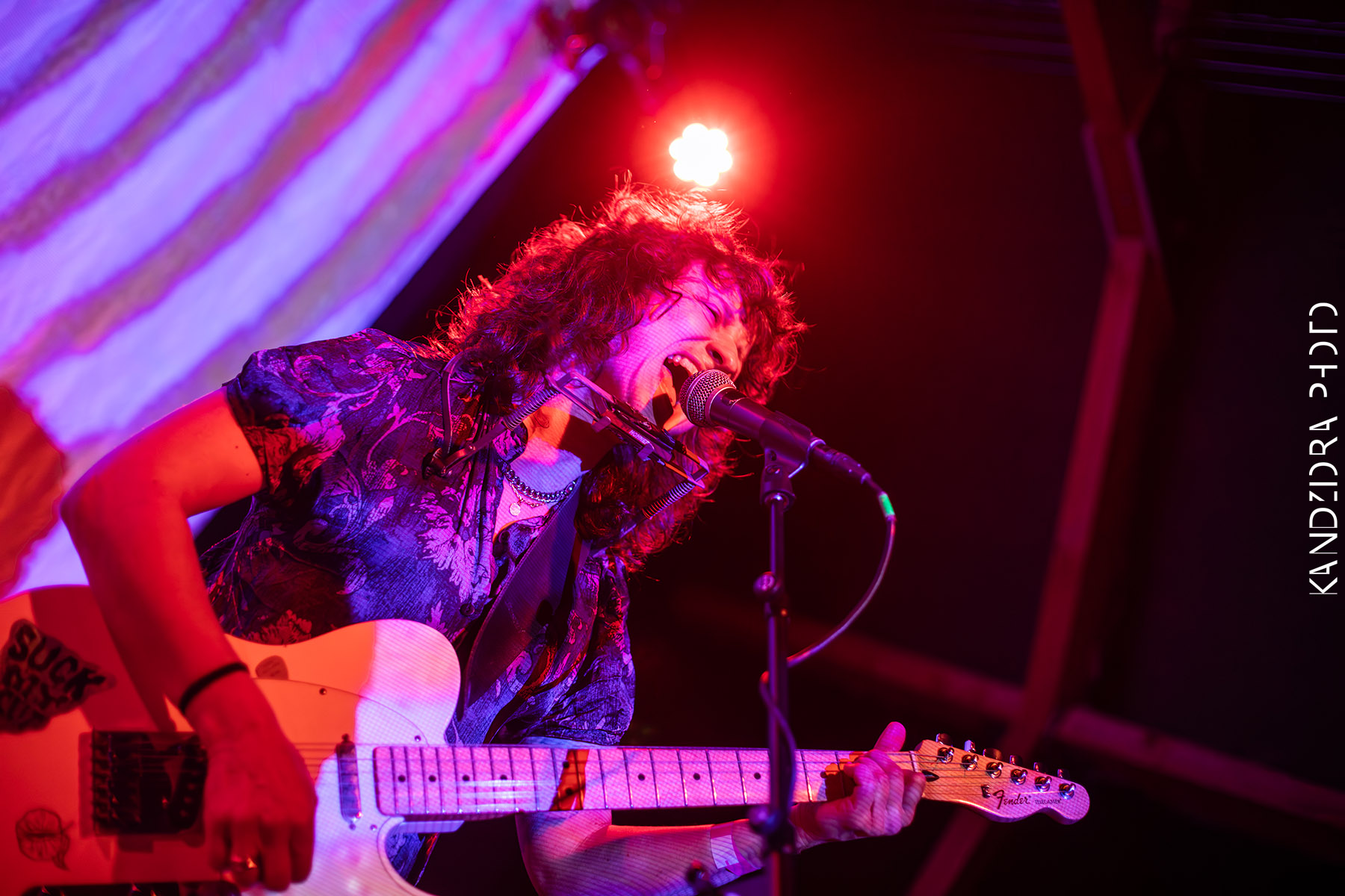 Blues Bumps Fest 2026 - Saturday