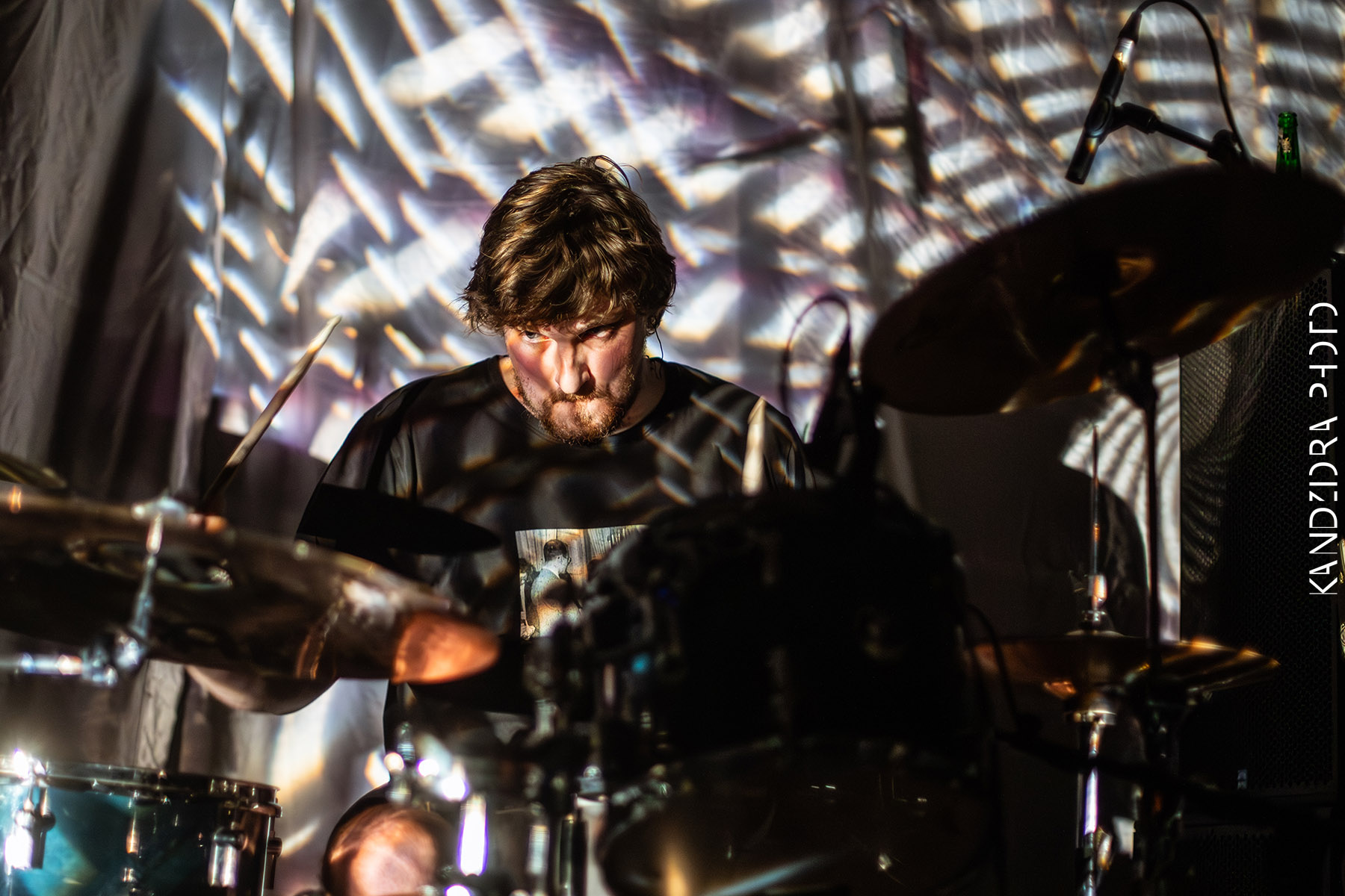 Blues Bumps Fest 2026 - Saturday