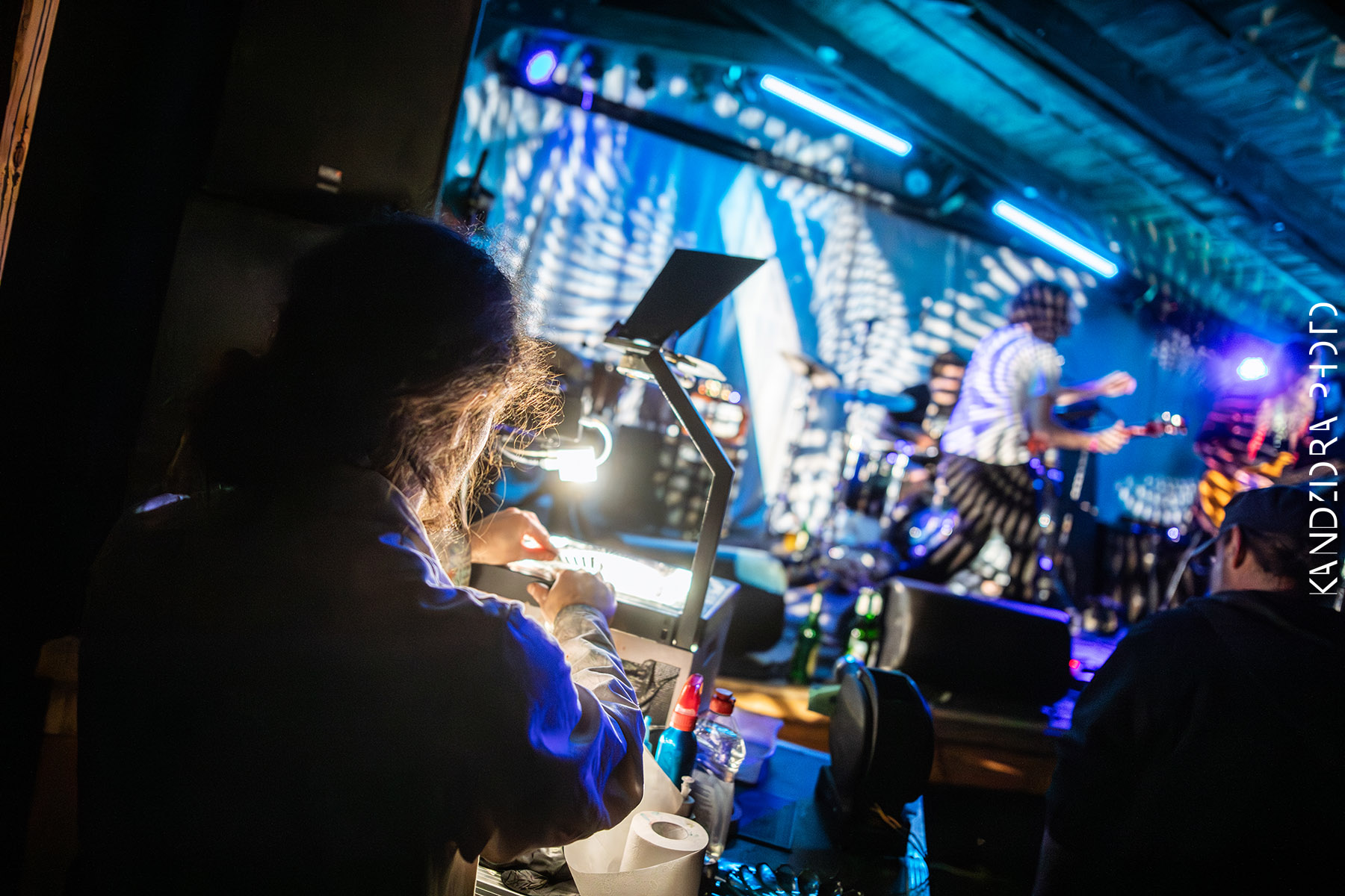 Blues Bumps Fest 2026 - Saturday