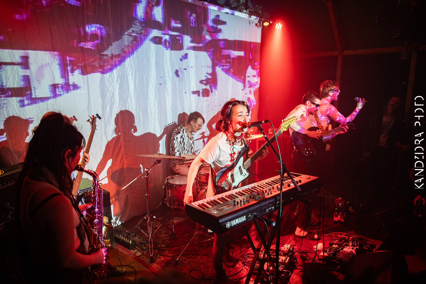 Blues Bumps Fest 2026 - Saturday