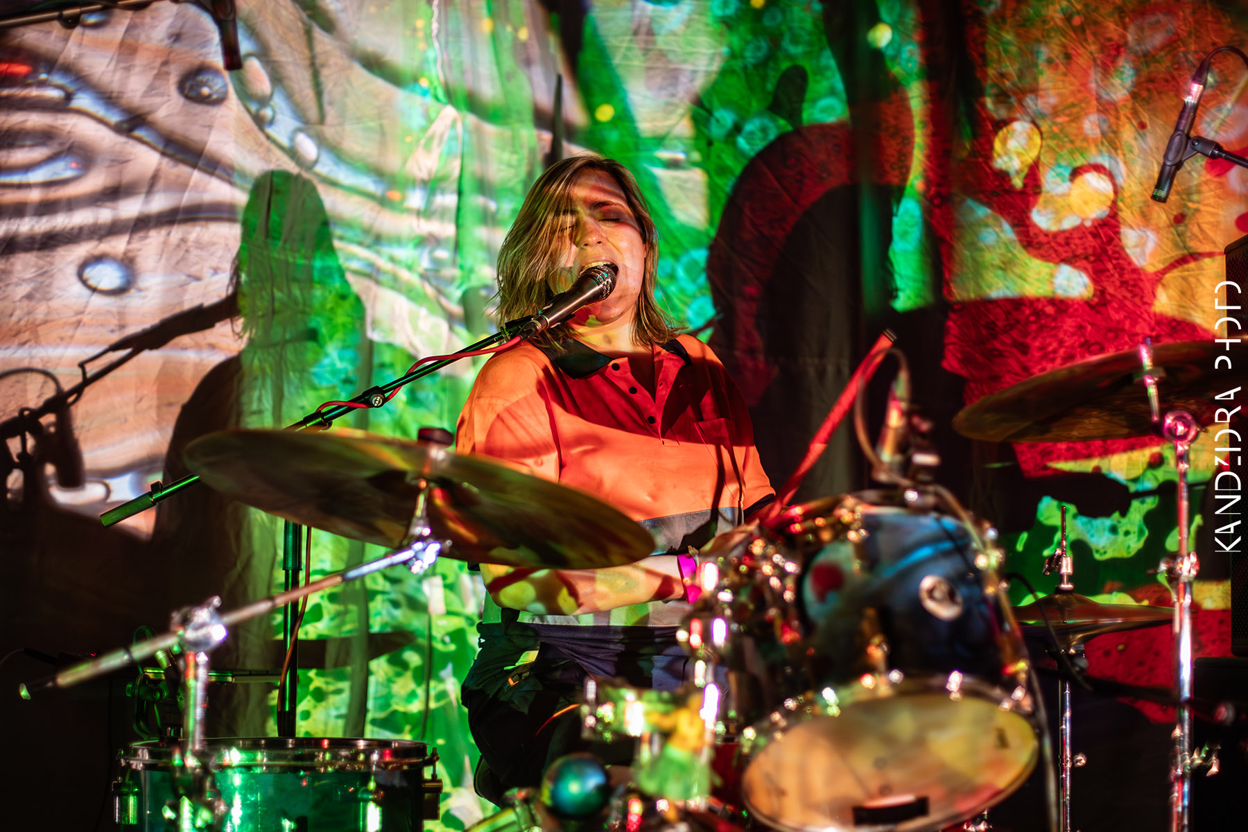 Blues Bumps Fest 2026 - Saturday