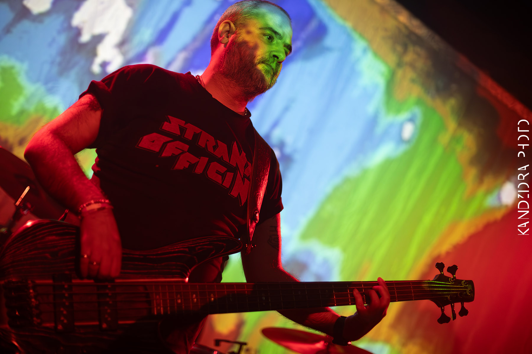 Blues Bumps Fest 2026 - Saturday