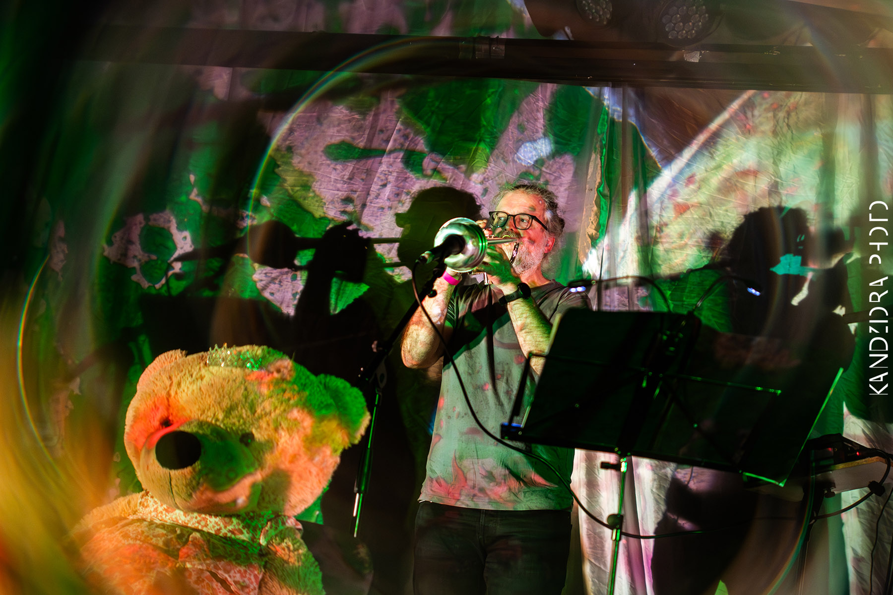 Blues Bumps Fest 2026 - Saturday