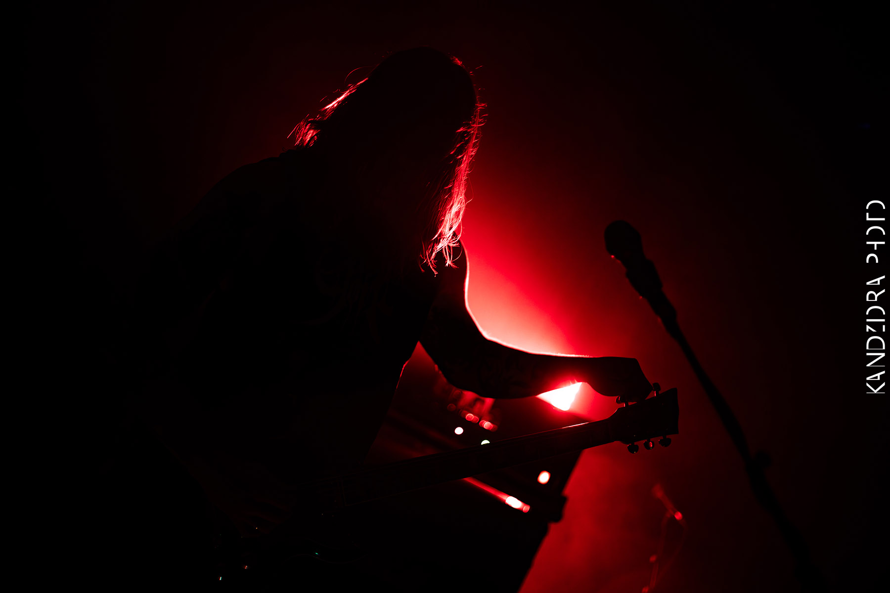 Howling Wolves Record Release Party 2026 - Neue Zukunft
