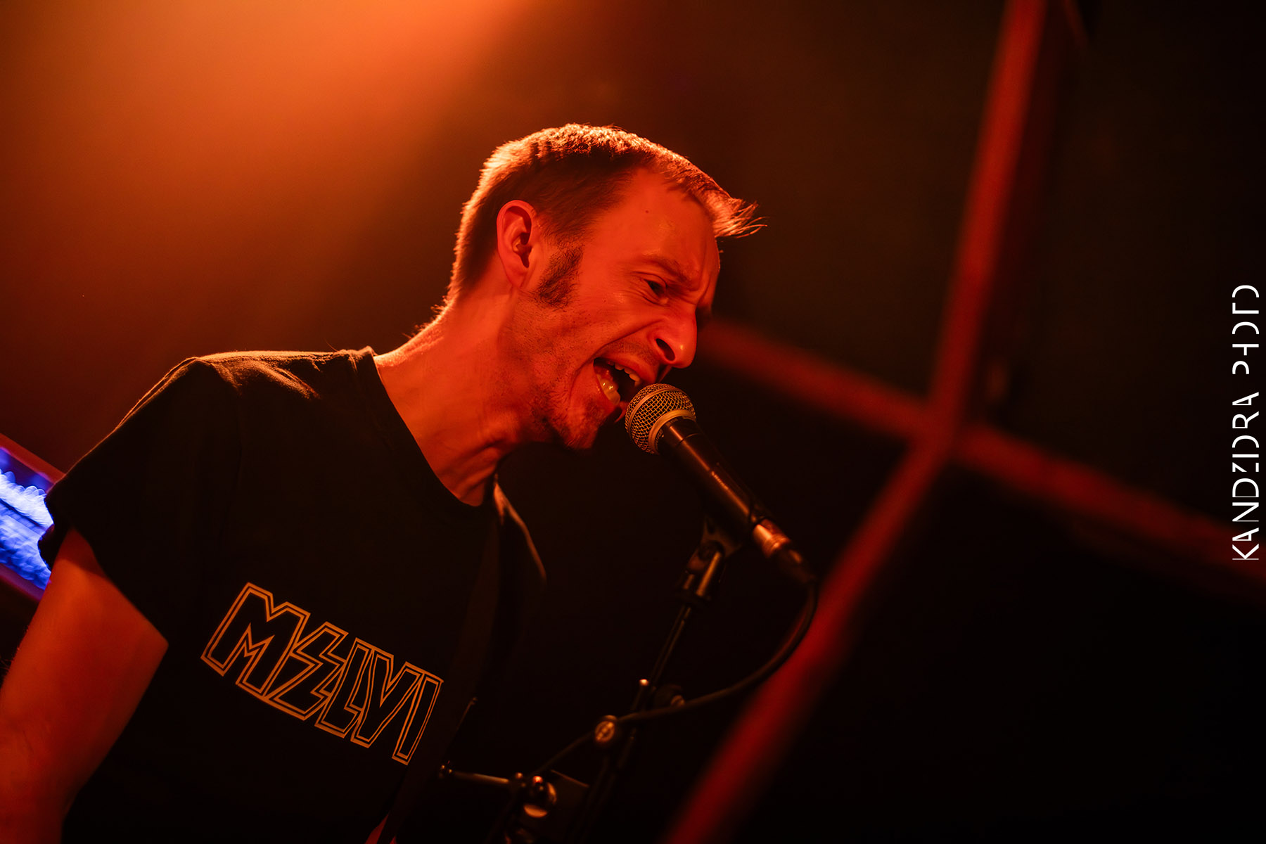 Howling Wolves Record Release Party 2026 - Neue Zukunft