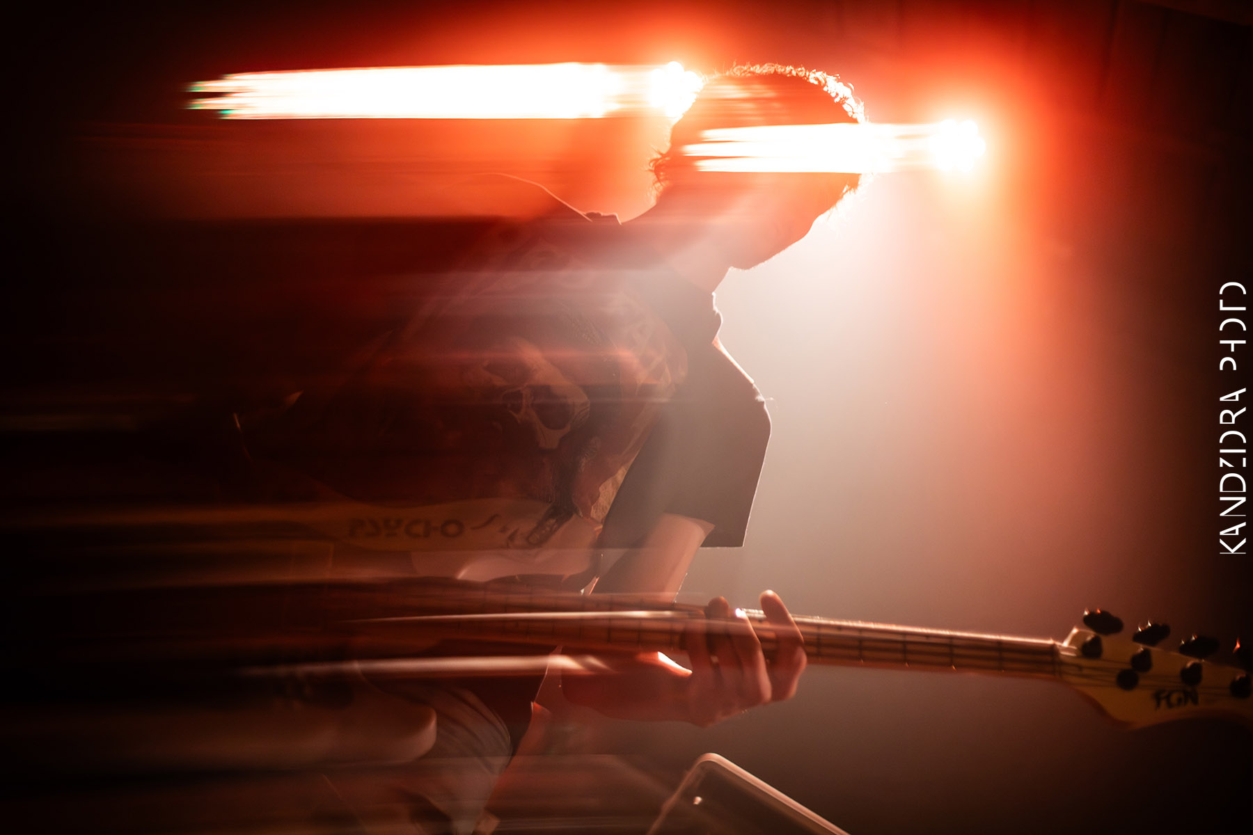 Howling Wolves Record Release Party 2026 - Neue Zukunft
