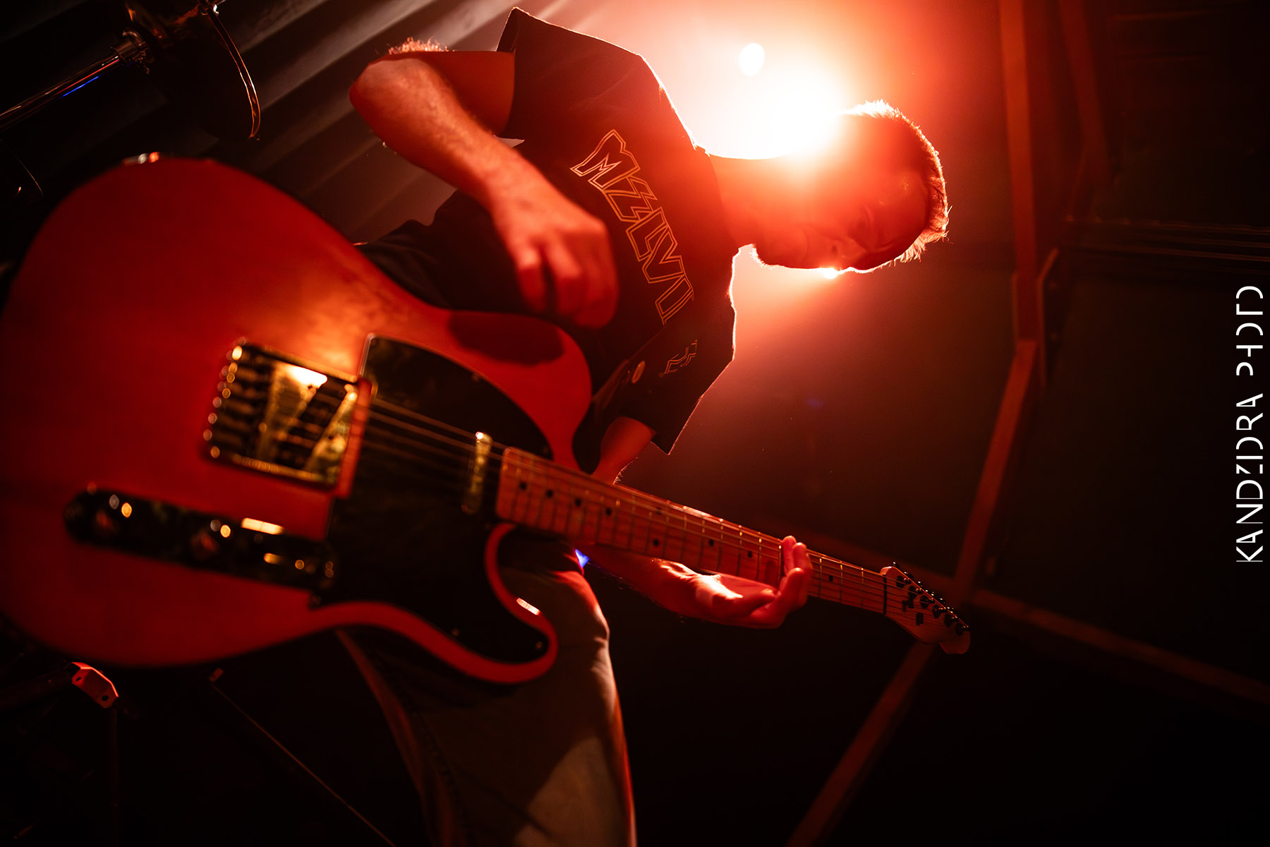 Howling Wolves Record Release Party 2026 - Neue Zukunft