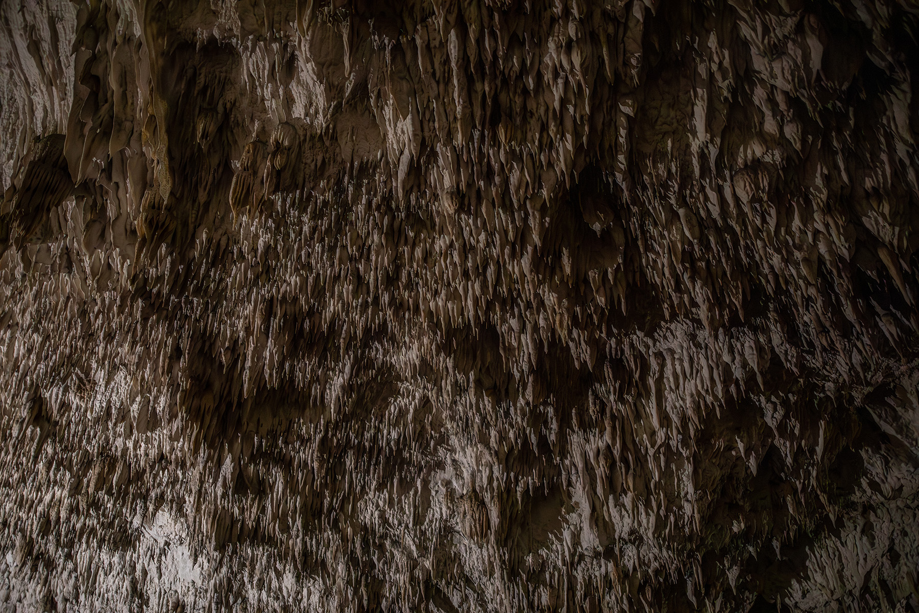 Roadtrip though Balkan 2025