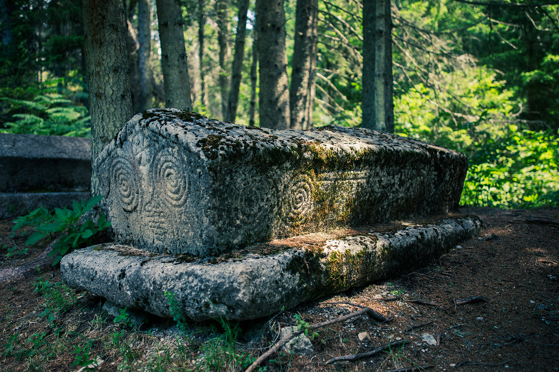 Roadtrip though Balkan 2025