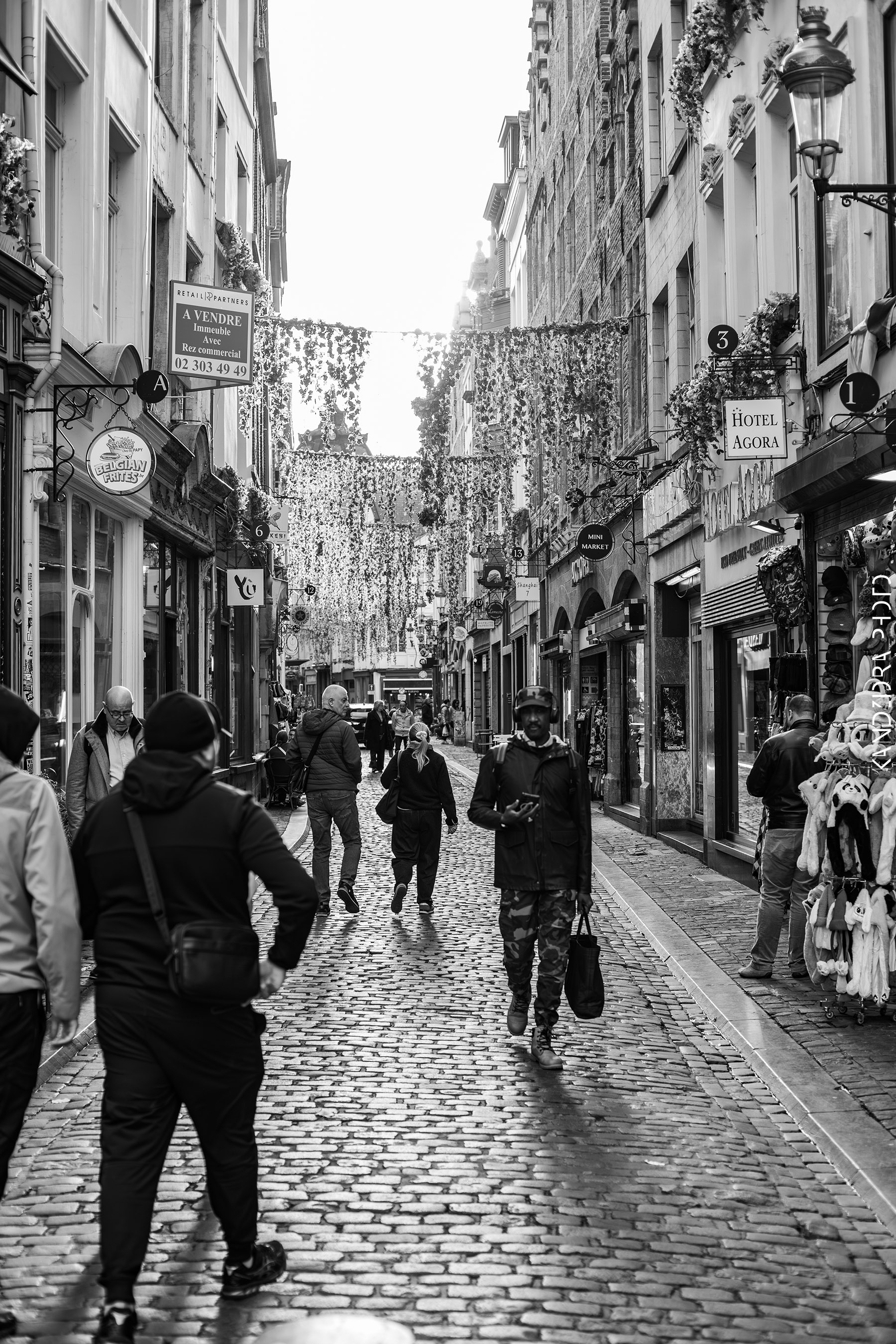 Railroad Trip to Belgium and Netherlands