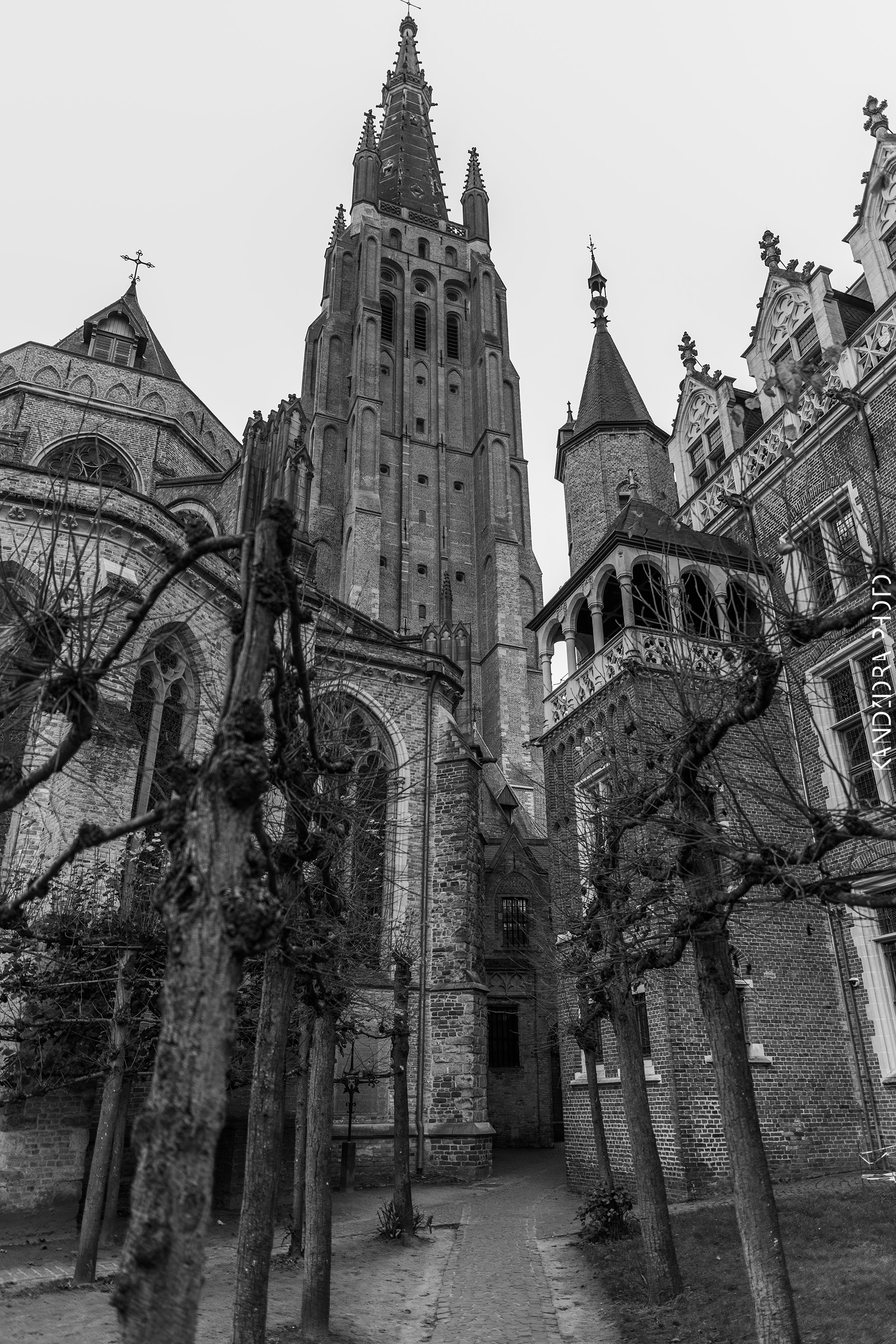 Railroad Trip to Belgium and Netherlands