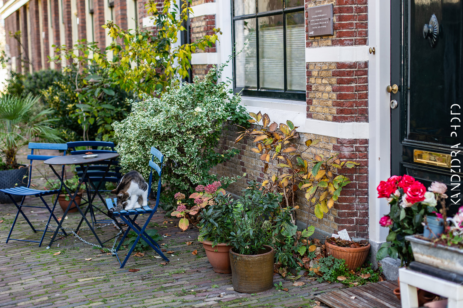 Railroad Trip to Belgium and Netherlands