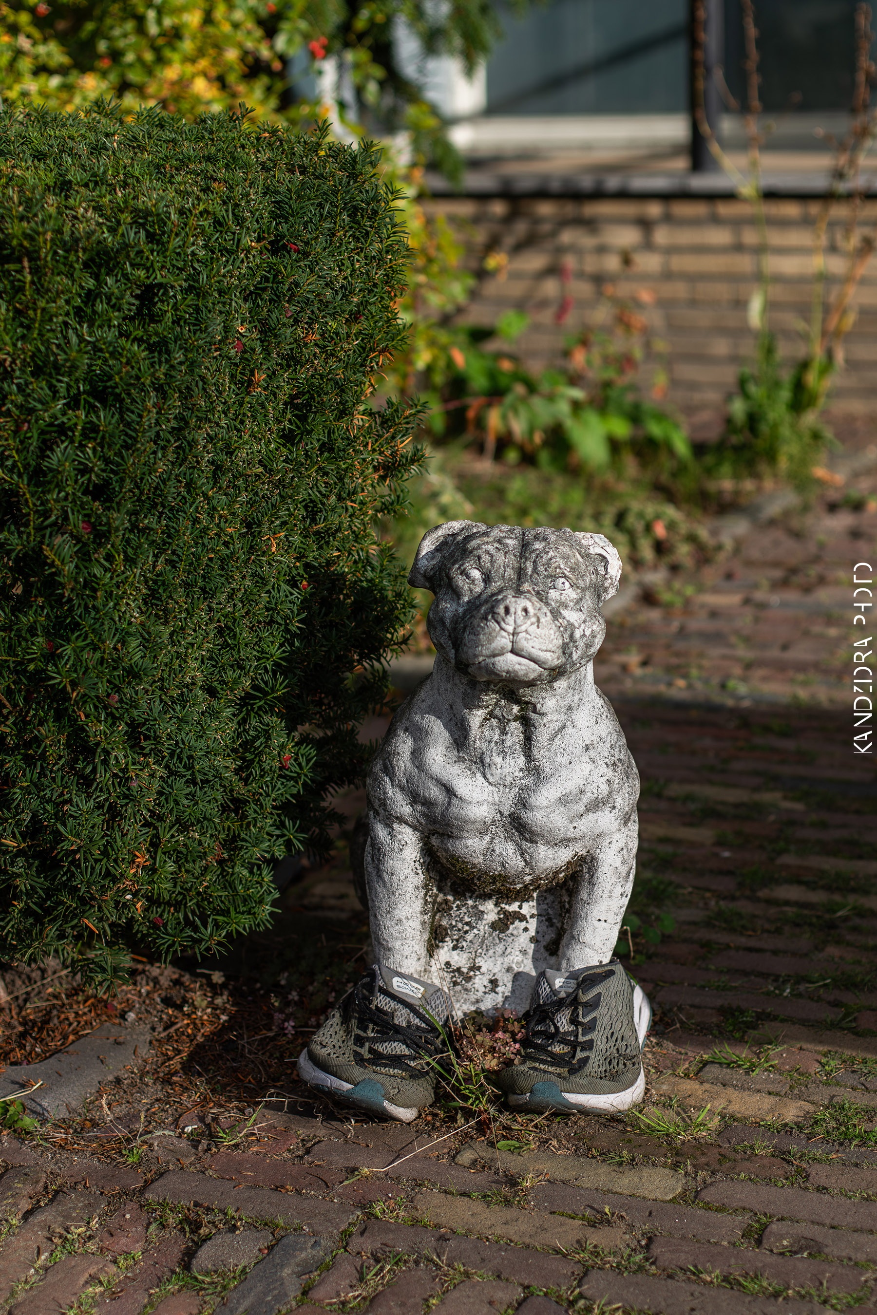 Railroad Trip to Belgium and Netherlands